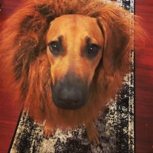 Meet your Posher, Moorea